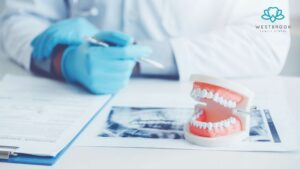 Dentist in Cambooya