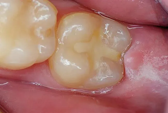 Westbrook Dental